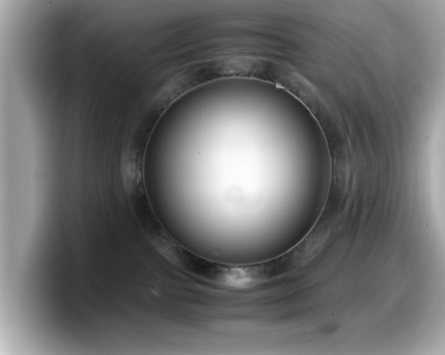 X0000099990091200805231501