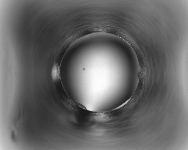 X0000099990095200805231501