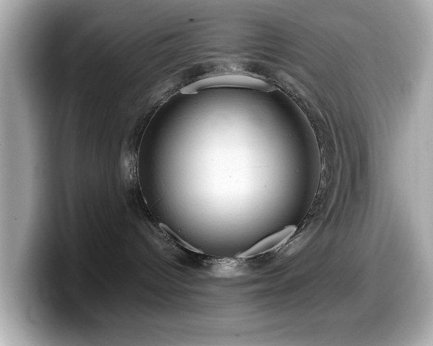 X0000099990096200805231501