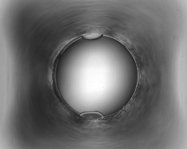 X0000099990098200805231500