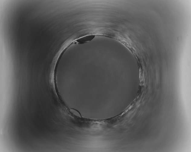 X0000099990099200805231500