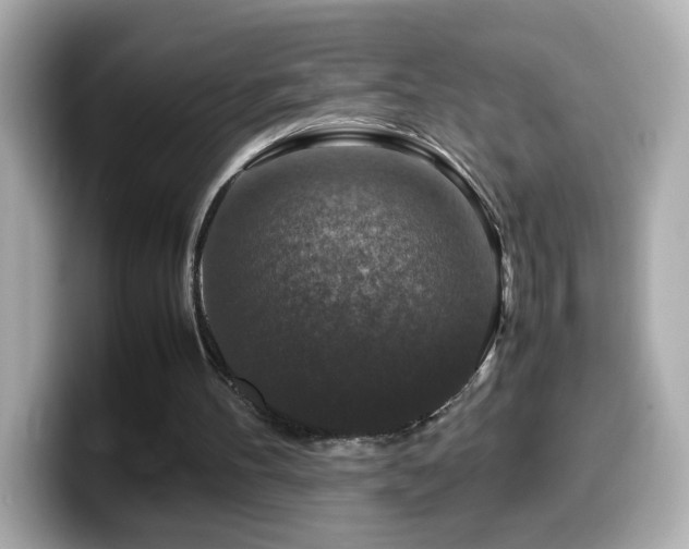 X0000099990100200805231500