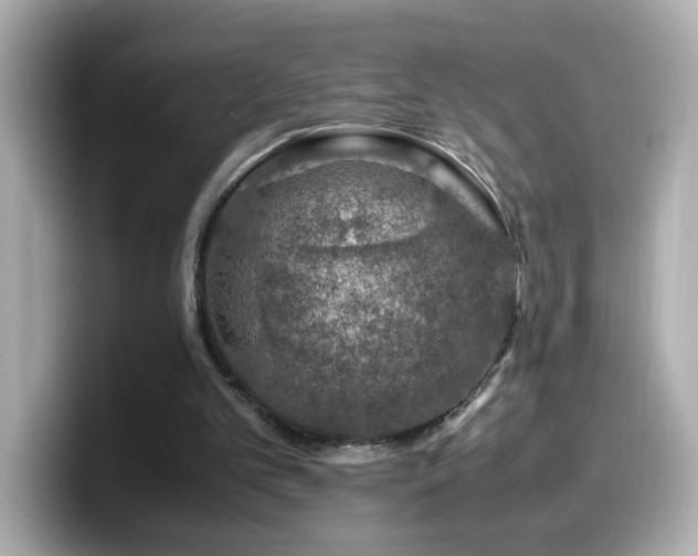 X0000099990101200805231500
