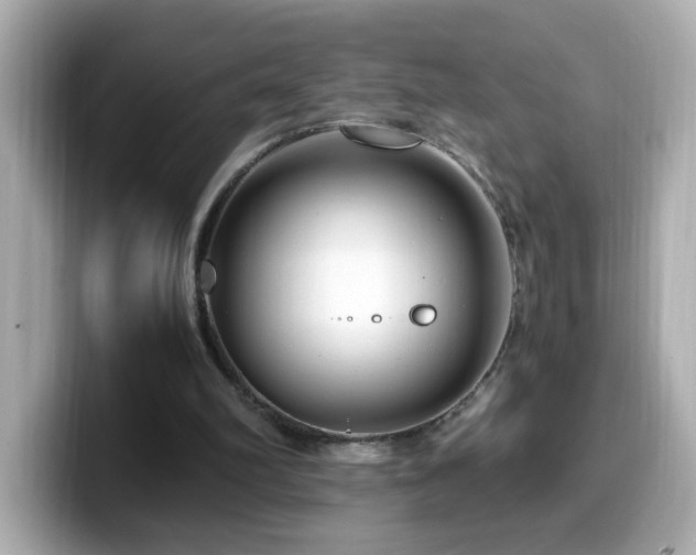 X0000099990102200805231500