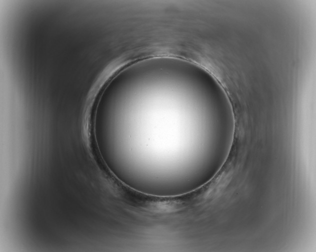 X0000099990103200805231500
