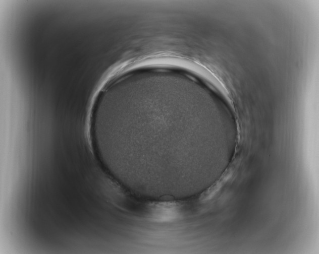 X0000099990104200805231500