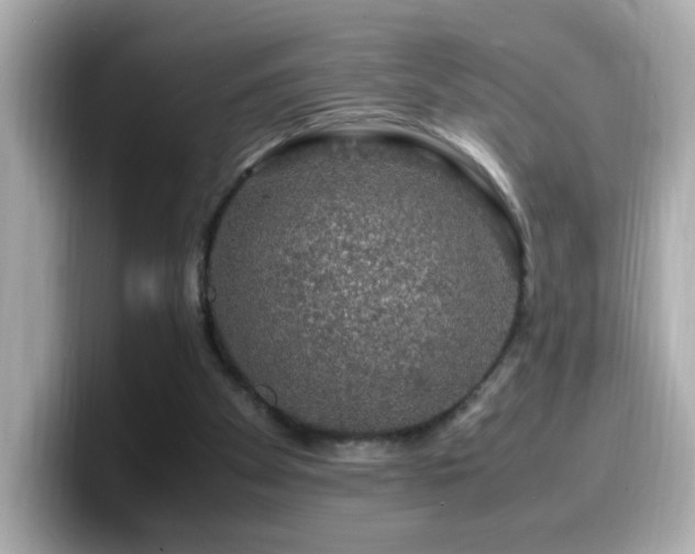 X0000099990105200805231500