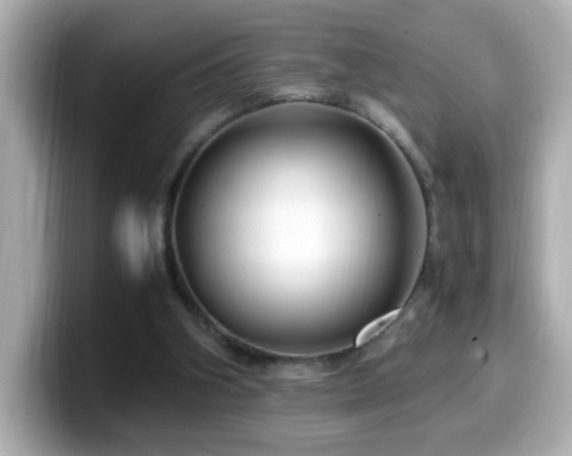 X0000099990106200805231500