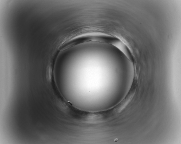 X0000099990109200805231500