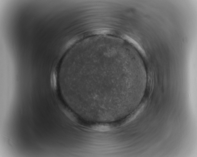 X0000099990110200805231500