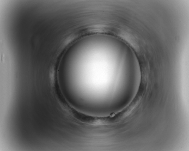 X0000099990111200805231500