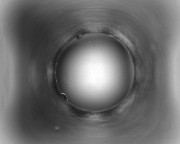 X0000099990113200805231500