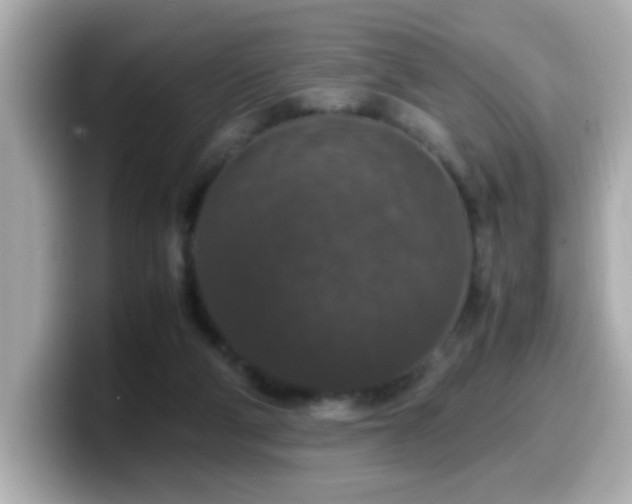 X0000099990114200805231500