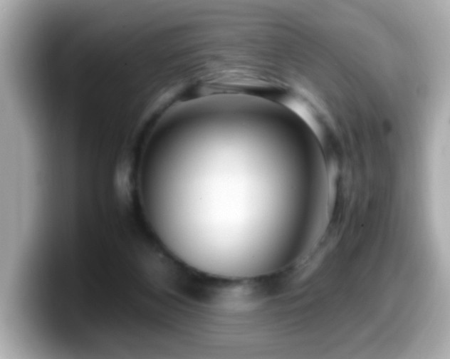 X0000099990116200805231500