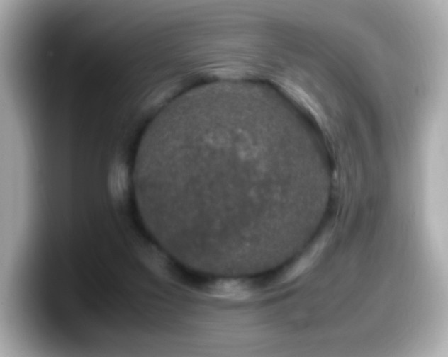 X0000099990117200805231500