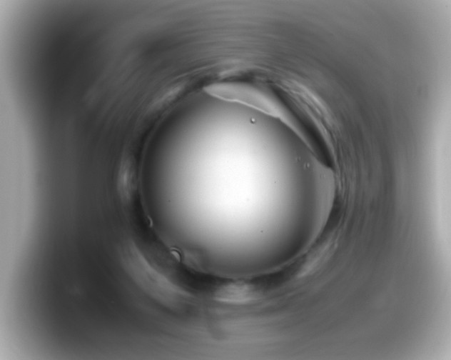 X0000099990119200805231500