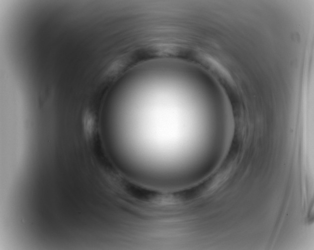 X0000099990123200805231500
