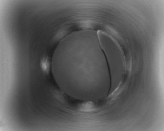 X0000099990124200805231500