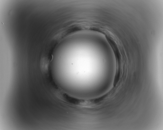 X0000099990125200805231500