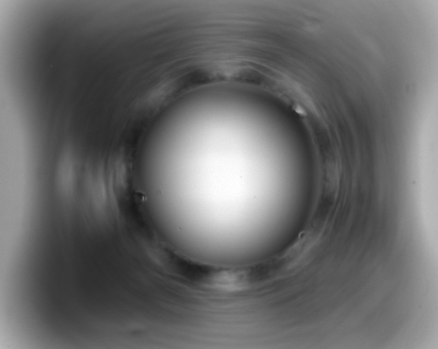 X0000099990126200805231500