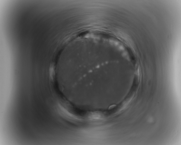 X0000099990127200805231500