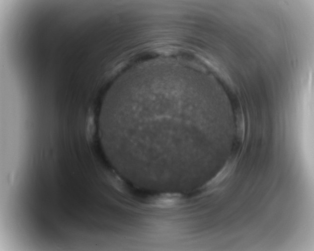 X0000099990128200805231500
