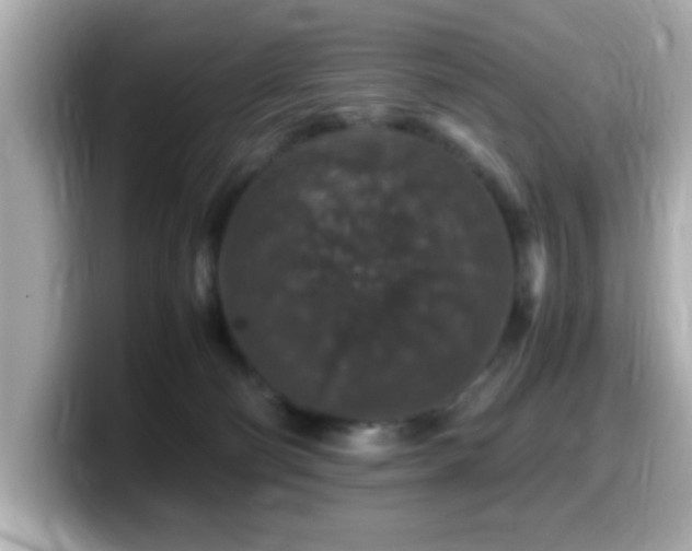 X0000099990130200805231500