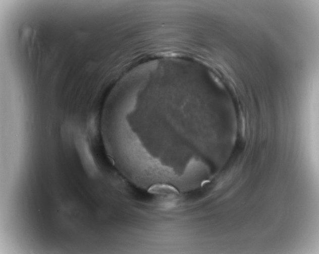 X0000099990131200805231500