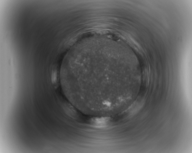 X0000099990134200805231500
