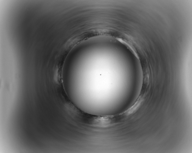 X0000099990140200805231500