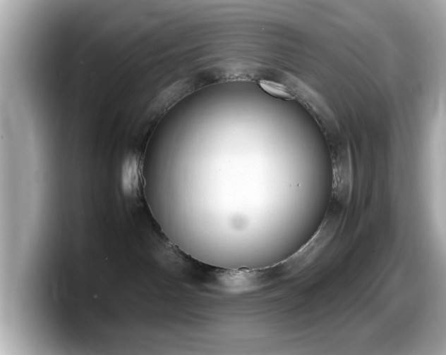 X0000099990142200805231500