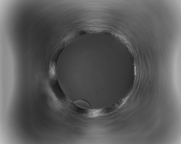 X0000099990143200805231500