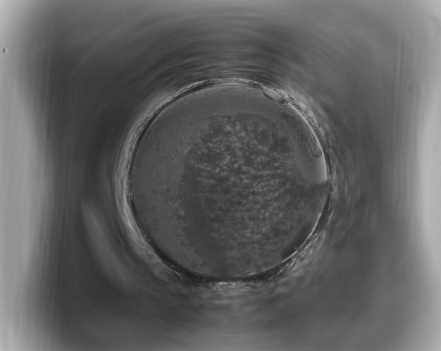 X0000099990145200805231459
