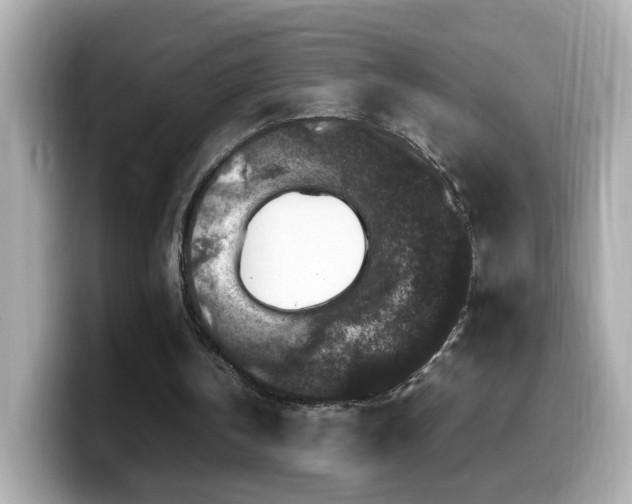 X0000099990146200805231459