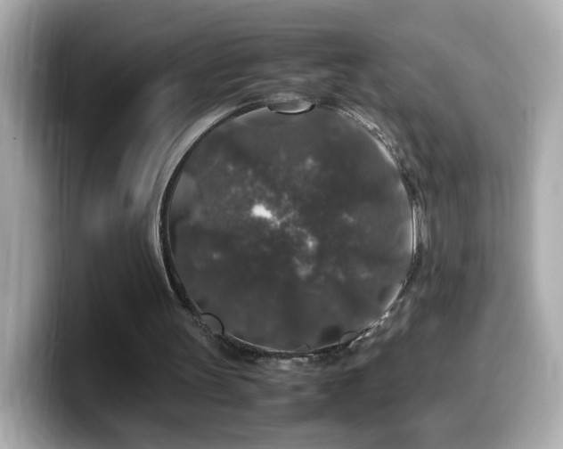 X0000099990147200805231459