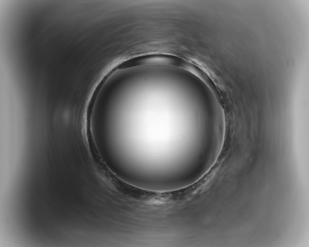 X0000099990148200805231459