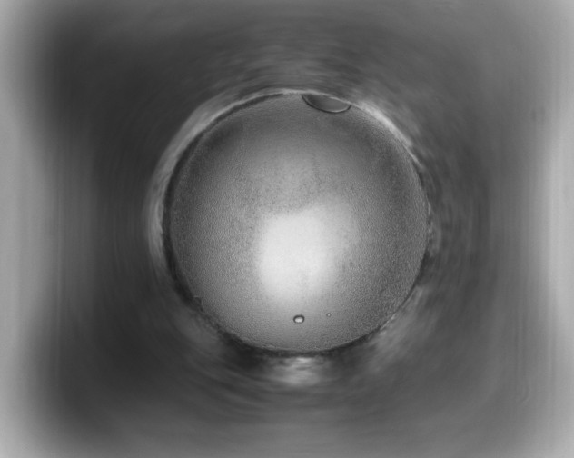 X0000099990151200805231459
