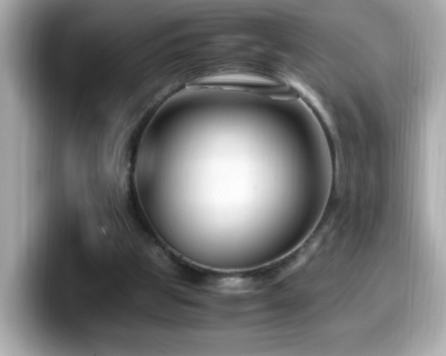 X0000099990153200805231459
