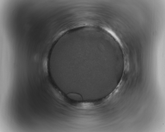 X0000099990154200805231459