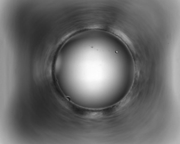 X0000099990155200805231459