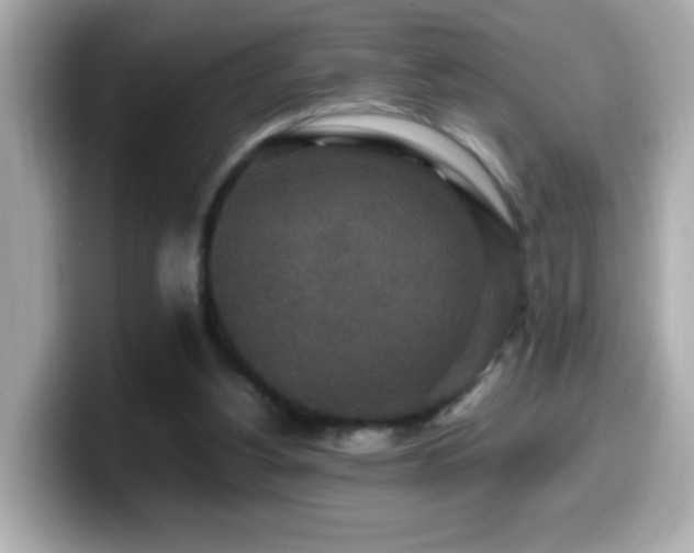 X0000099990156200805231459