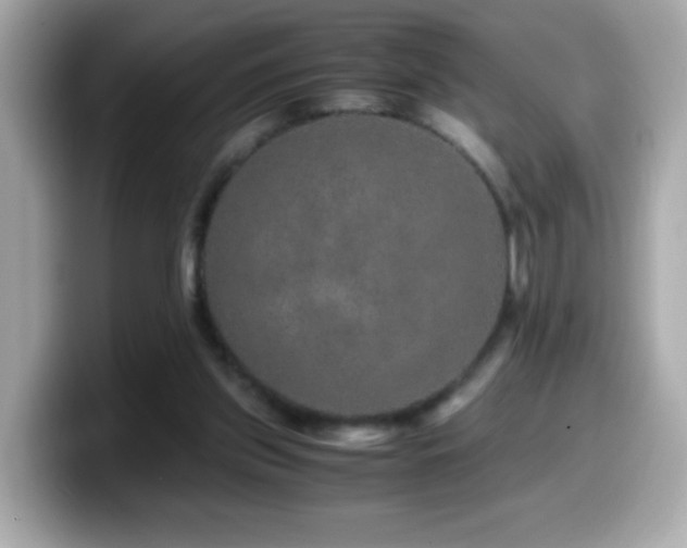 X0000099990157200805231459