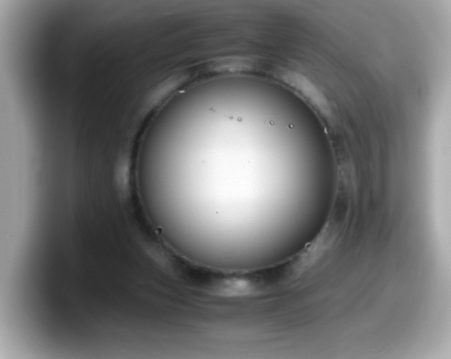 X0000099990159200805231459