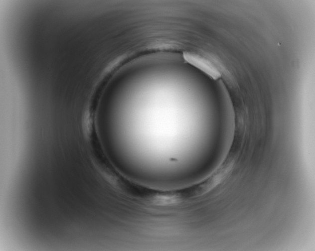 X0000099990160200805231459