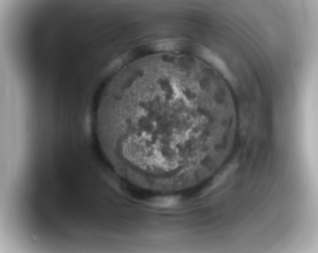 X0000099990161200805231459