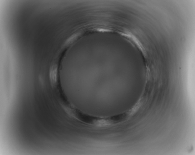 X0000099990163200805231459