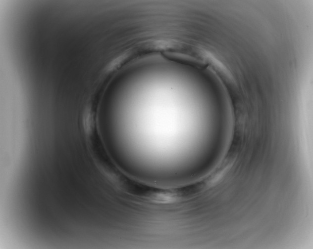 X0000099990164200805231459