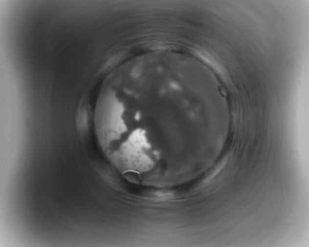 X0000099990165200805231459
