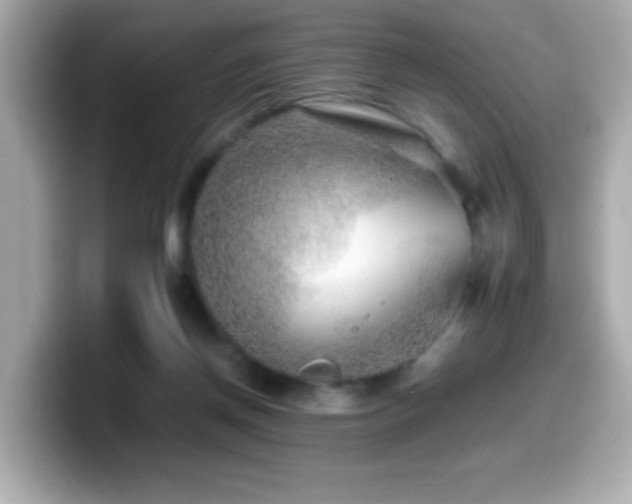 X0000099990166200805231459