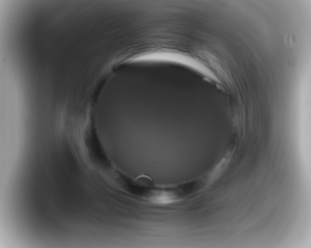 X0000099990167200805231459